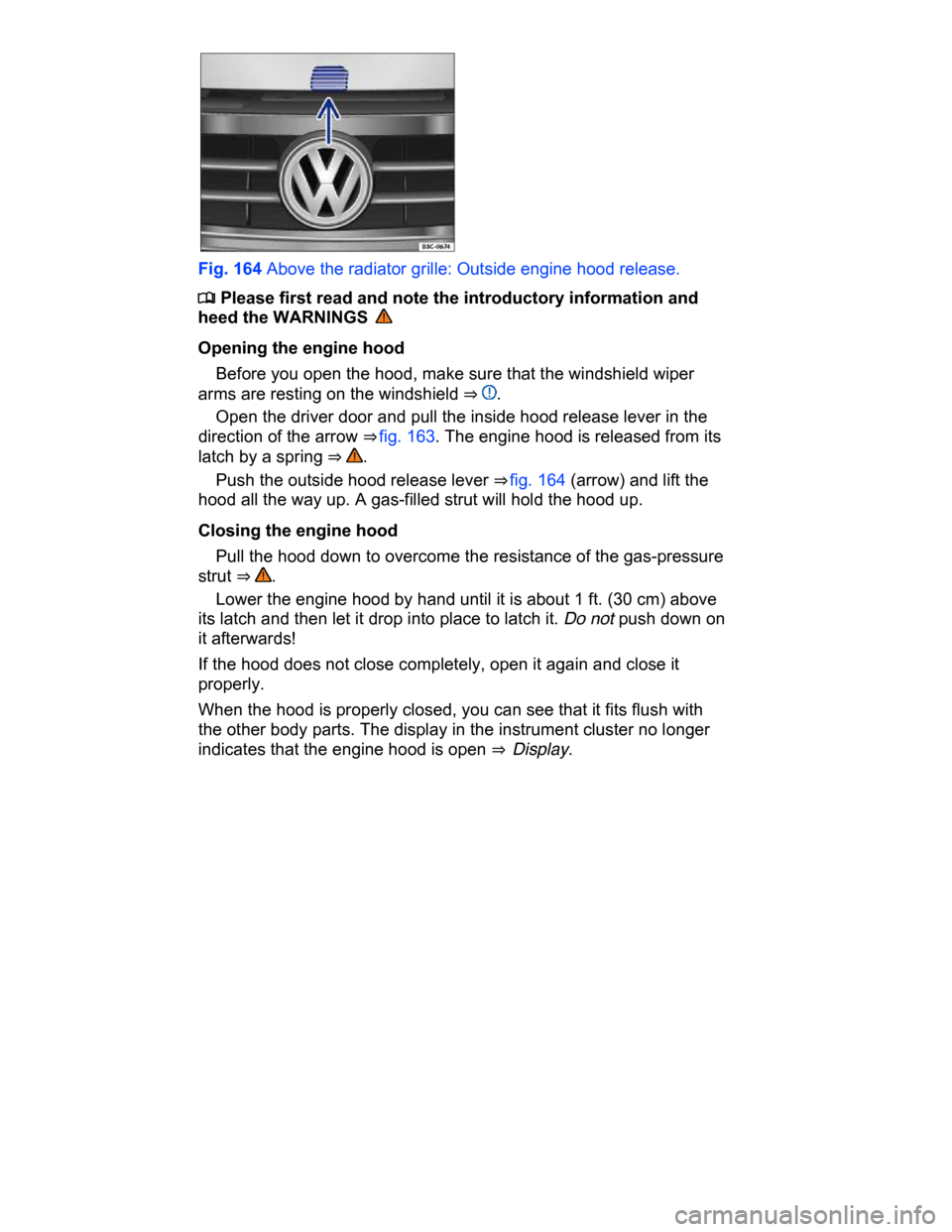 VOLKSWAGEN PASSAT CC 2015 1.G Owners Manual  
 
Fig. 164 Above the radiator grille: Outside engine hood release. 
�