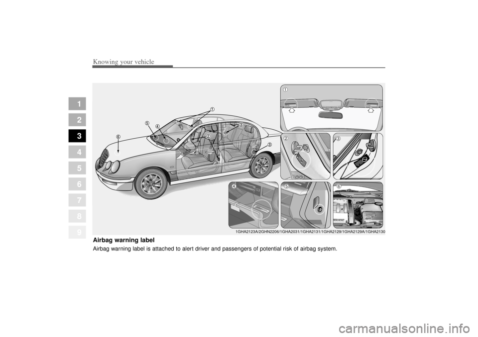 KIA Amanti 2004 1.G Owners Manual Knowing your vehicle78
3
1
2
3
4
5
6
7
8
9
Airbag warning labelAirbag warning label is attached to alert driver and passengers of potential risk of airbag system.
1GHA2123A/2GHN2206/1GHA2031/1GHA2131/