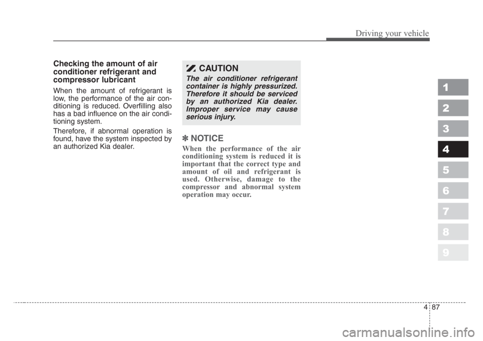 KIA Sportage 2008 JE_ / 2.G Owners Manual 487
Driving your vehicle
1
2
3
4
5
6
7
8
9
Checking the amount of air
conditioner refrigerant and
compressor lubricant
When the amount of refrigerant is
low, the performance of the air con-
ditioning 