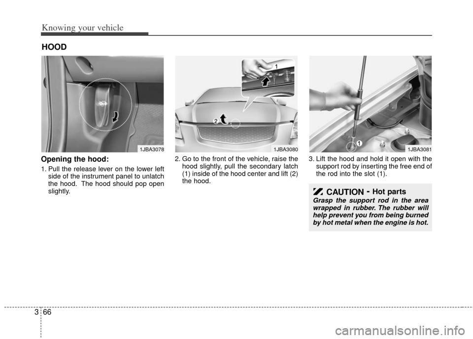 KIA Rio 2011 2.G Owners Manual Knowing your vehicle
66
3
Opening the hood:
1. Pull the release lever on the lower left
side of the instrument panel to unlatch
the hood. The hood should pop open
slightly. 2. Go to the front of the v