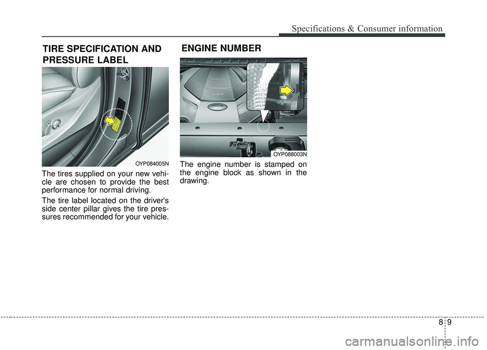 KIA SEDONA 2020  Owners Manual 89
Specifications & Consumer information
The tires supplied on your new vehi-
cle are chosen to provide the best
performance for normal driving.
The tire label located on the drivers
side center pill
