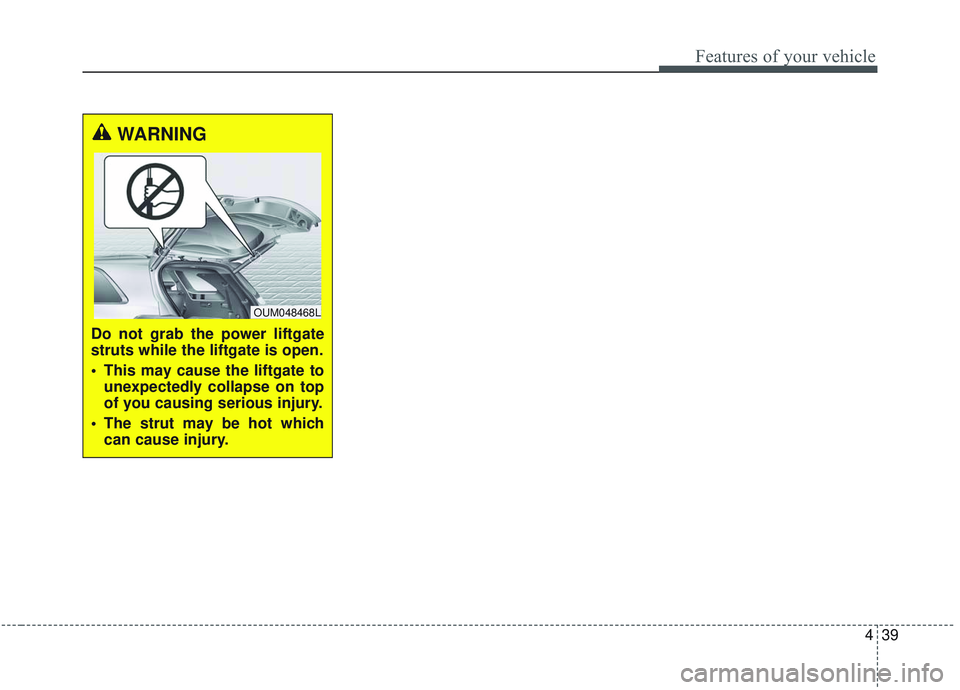 KIA SORENTO 2019  Owners Manual 439
Features of your vehicle
WARNING
Do not grab the power liftgate
struts while the liftgate is open.
 This may cause the liftgate tounexpectedly collapse on top
of you causing serious injury.
 The s