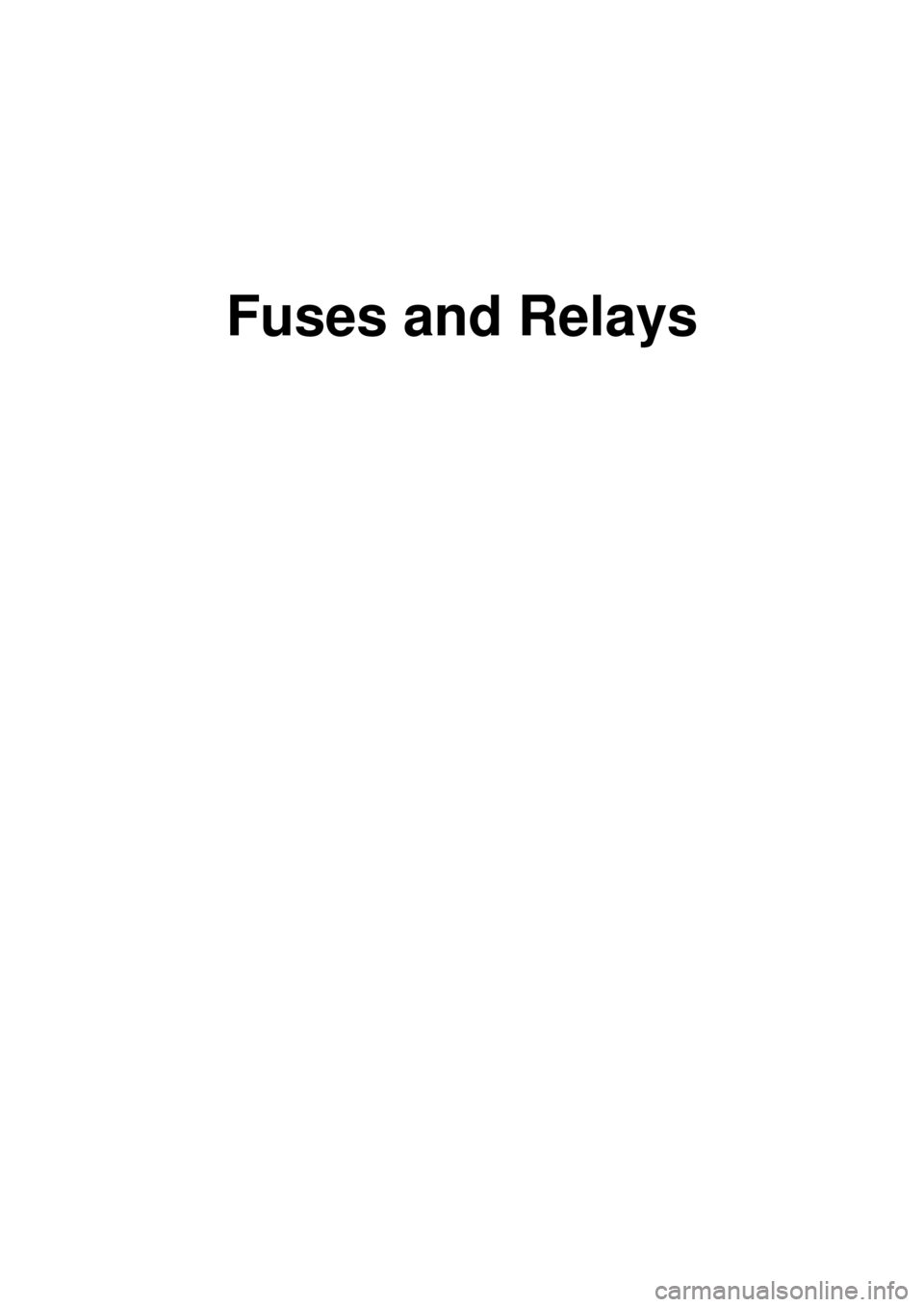 KIA CARNIVAL 2007  Workshop Manual Fuses and Relays 
