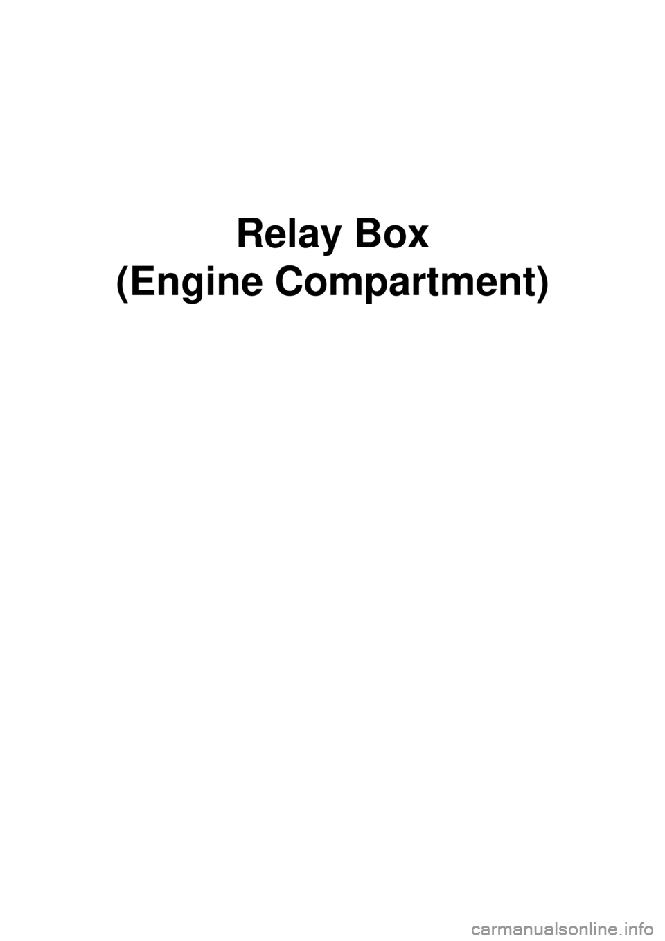 KIA CARNIVAL 2007  Workshop Manual Relay Box 
(Engine Compartment) 