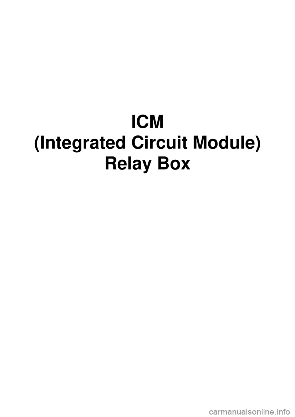 KIA CARNIVAL 2007  Workshop Manual ICM
(Integrated Circuit Module) Relay Box 
