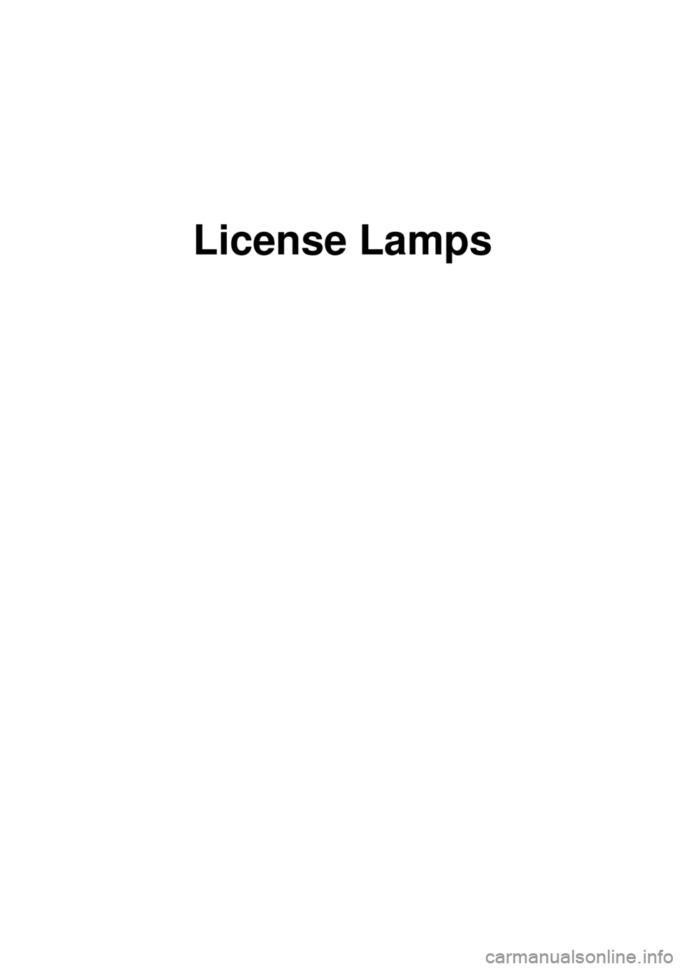 KIA CARNIVAL 2007  Workshop Manual License Lamps 