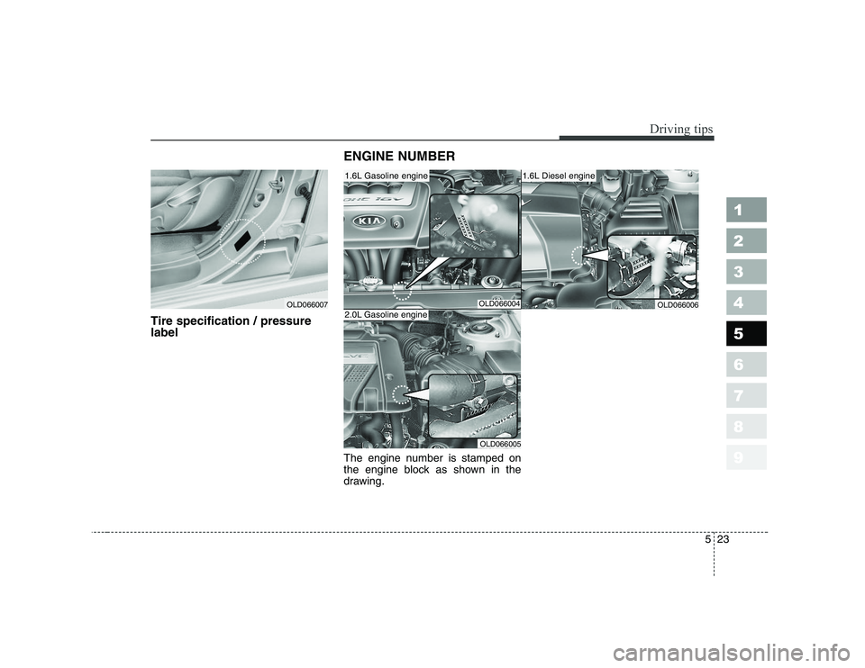 KIA CERATO 2007  Owners Manual 523
Driving tips
1 23456789
Tire specification / pressure labelENGINE NUMBER 
The engine number is stamped on 
the engine block as shown in the
drawing.
OLD066007OLD066004
1.6L Gasoline engine
OLD0660