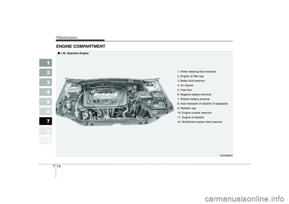 KIA CERATO 2007  Owners Manual Maintenance
14
7
1 23456789
ENGINE COMPARTMENT 
OLD056001
1. Power steering fluid reservoir 
2. Engine oil filler cap
3. Brake fluid reservoir
4. Air cleaner
5. Fuse box
6. Negative battery terminal
7