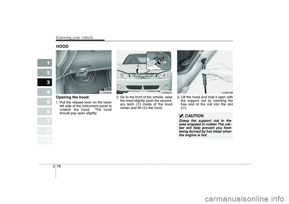 KIA CERATO 2004  Owners Manual Knowing your vehicle
78
3
1 23456789
Opening the hood: 
1. Pull the release lever on the lower
left side of the instrument panel to 
unlatch the hood. The hood
should pop open slightly. 2. Go to the f