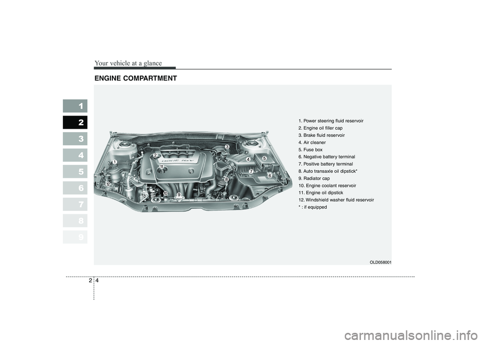 KIA CERATO 2008  Owners Manual Your vehicle at a glance
4
2
1 23456789
ENGINE COMPARTMENT 
OLD058001
1. Power steering fluid reservoir 
2. Engine oil filler cap
3. Brake fluid reservoir
4. Air cleaner
5. Fuse box
6. Negative batter