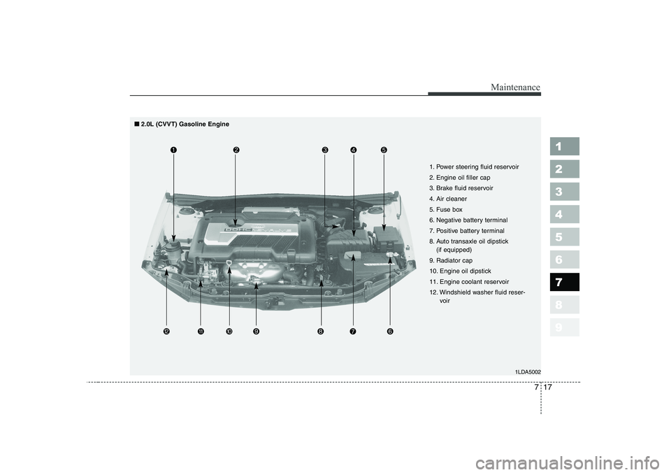 KIA CERATO 2005  Owners Manual 717
Maintenance
1 23456789
1LDA5002
1. Power steering fluid reservoir 
2. Engine oil filler cap
3. Brake fluid reservoir
4. Air cleaner
5. Fuse box
6. Negative battery terminal
7. Positive battery ter