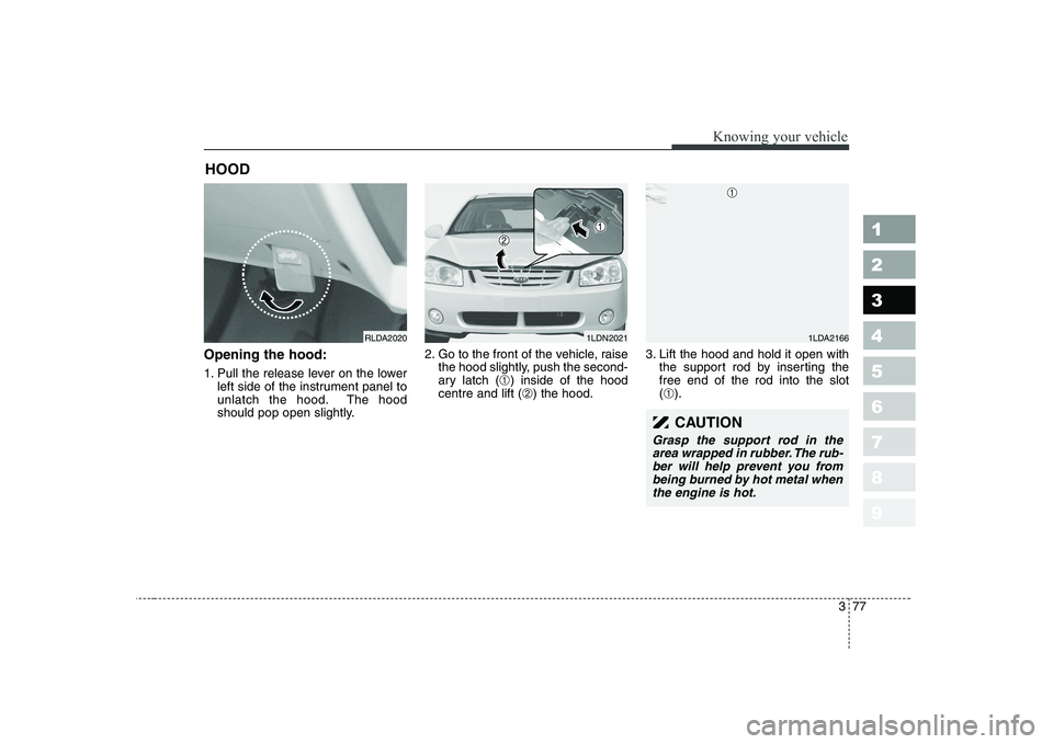 KIA CERATO 2005  Owners Manual 377
1 23456789
Knowing your vehicle
Opening the hood: 
1. Pull the release lever on the lowerleft side of the instrument panel to 
unlatch the hood. The hood
should pop open slightly. 2. Go to the fro