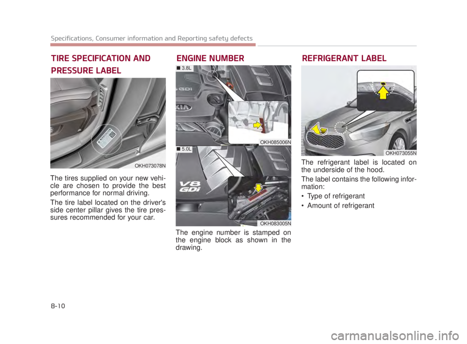 KIA K900 2018  Owners Manual 8-10
Specifications, Consumer information and Reporting safety defects
The tires supplied on your new vehi-
cle are chosen to provide the best
performance for normal driving.
The tire label located on