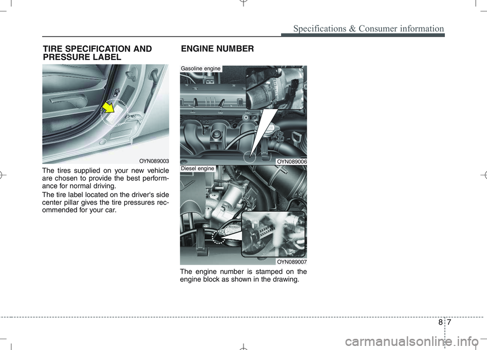 KIA VENGA 2011  Owners Manual 87
Specifications & Consumer information
The tires supplied on your new vehicle 
are chosen to provide the best perform-
ance for normal driving. 
The tire label located on the drivers side 
center p