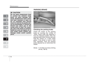 Page 261