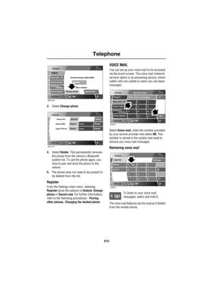 Page 313