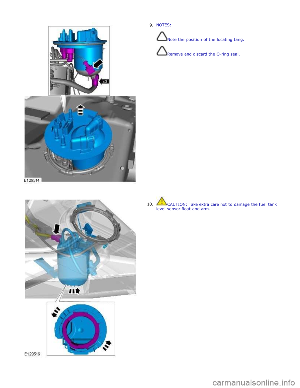 JAGUAR XFR 2010 1.G Workshop Manual         9. 
10. NOTES: 
 
 
Note the position of the locating tang. 
 
 
Remove and discard the O-ring seal. 
 
 
 
 
 
 
 
 
 
 
 
 
 
 
 
 
 
 
 
 
 
 
 
 
 
 
 
 
 
 
CAUTION: Take extra care not t