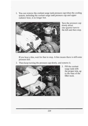 Page 242