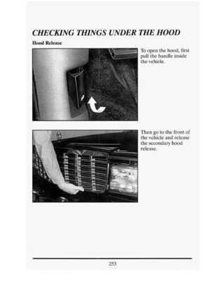 Page 266