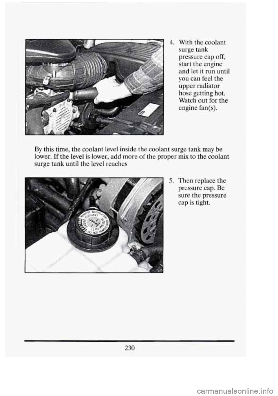CADILLAC FLEETWOOD 1994  Owners Manual I 
4. With the coolant 
surge  tank 
pressure cap  off, 
start  the  engine 
and let  it run  until 
you  can  feel  the 
upper  radiator 
hose  getting  hot. 
Watch  out 
for the 
engine  fan( 
s). 
