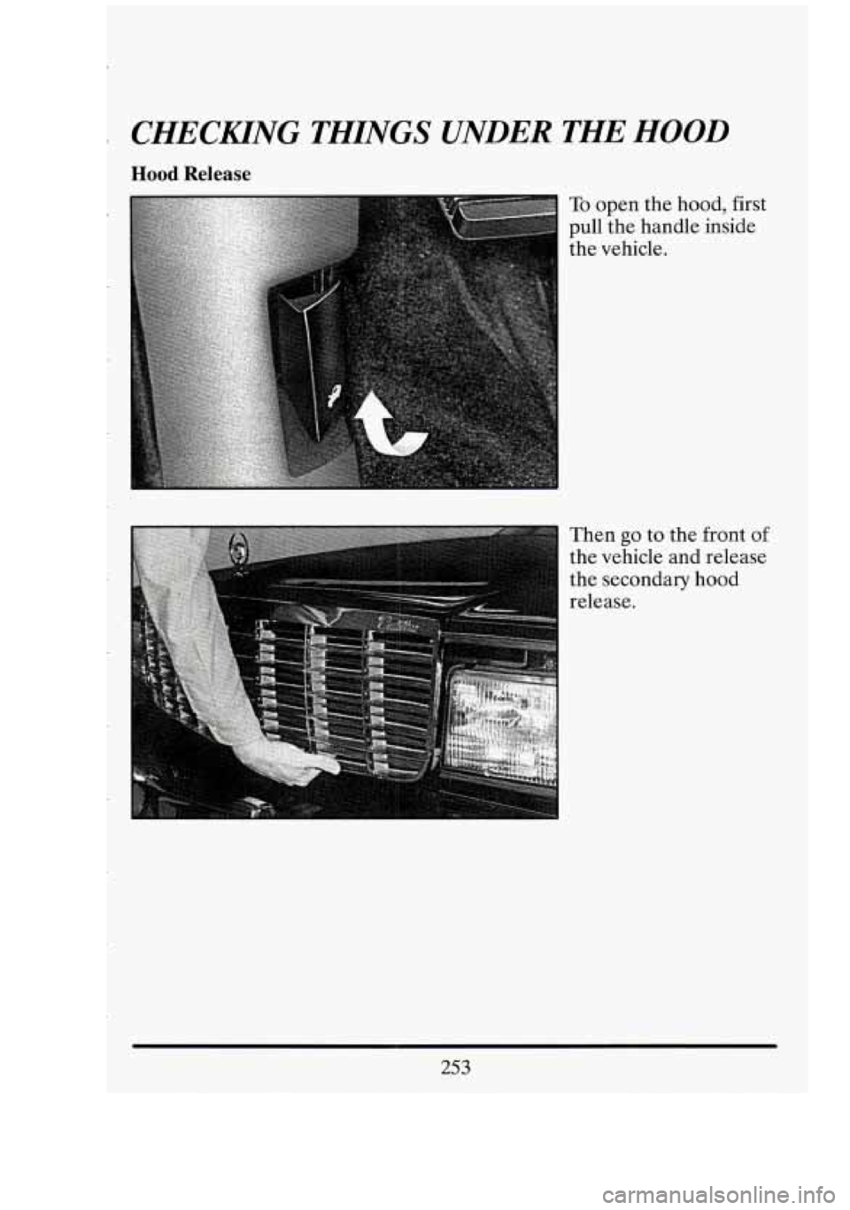CADILLAC FLEETWOOD 1994  Owners Manual CHECKIING THINGS UNDER  THE HOOD 
Hood Release 
To open  the  hood, first 
pull  the handle  inside 
the  vehicle. 
Then 
go to the  front of 
the vehicle  and release 
the  secondary hood 
release. 
