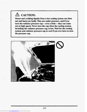 Page 253