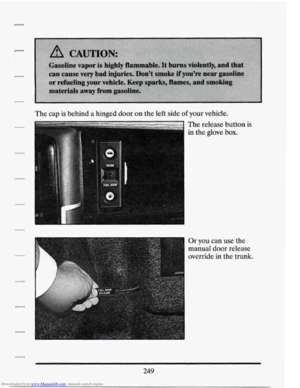 Page 262