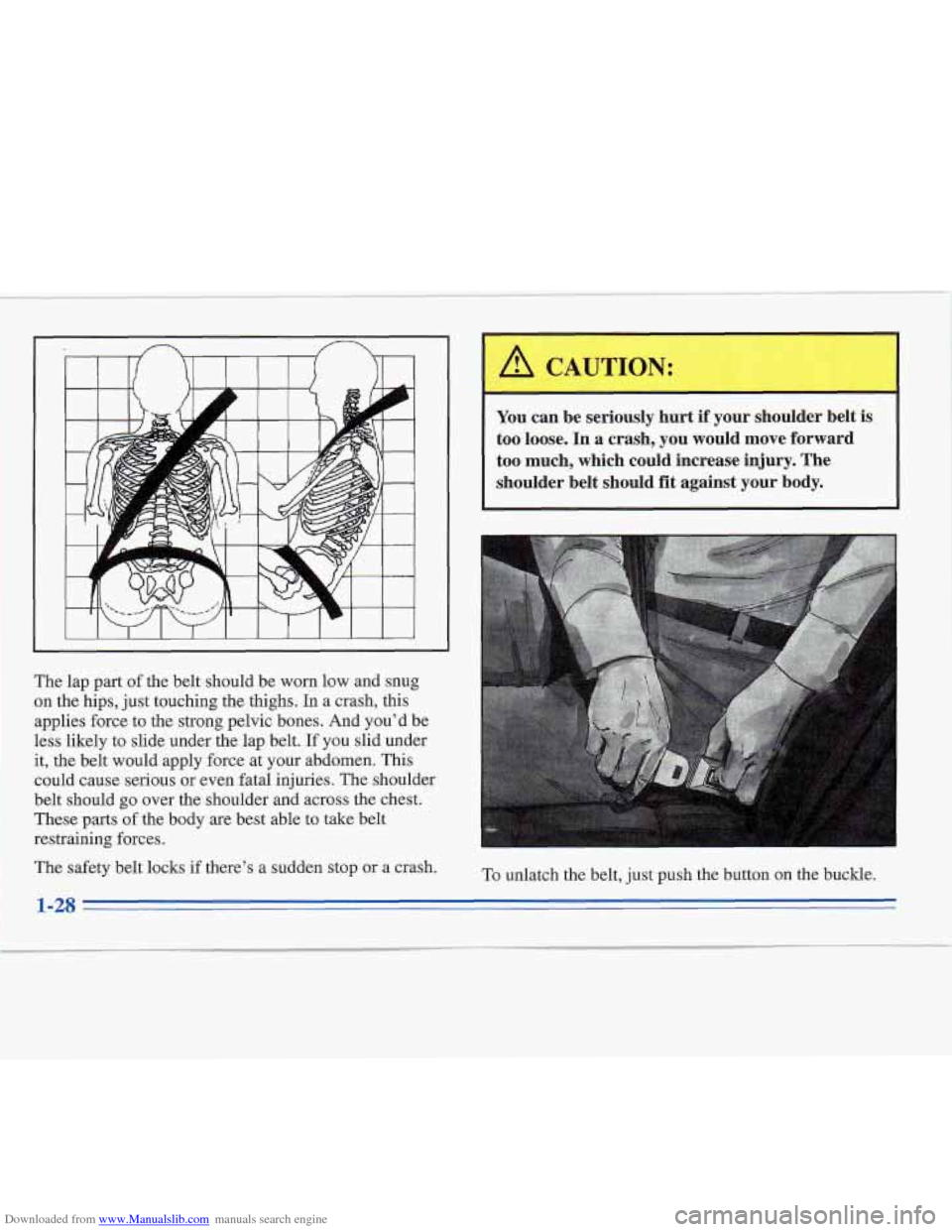 CADILLAC FLEETWOOD 1995 2.G Owners Manual Downloaded from www.Manualslib.com manuals search engine The lap part of the belt should  be worn low and snug 
on  the  hips, just touching the thighs.  In a crash, this 
applies force to the strong 