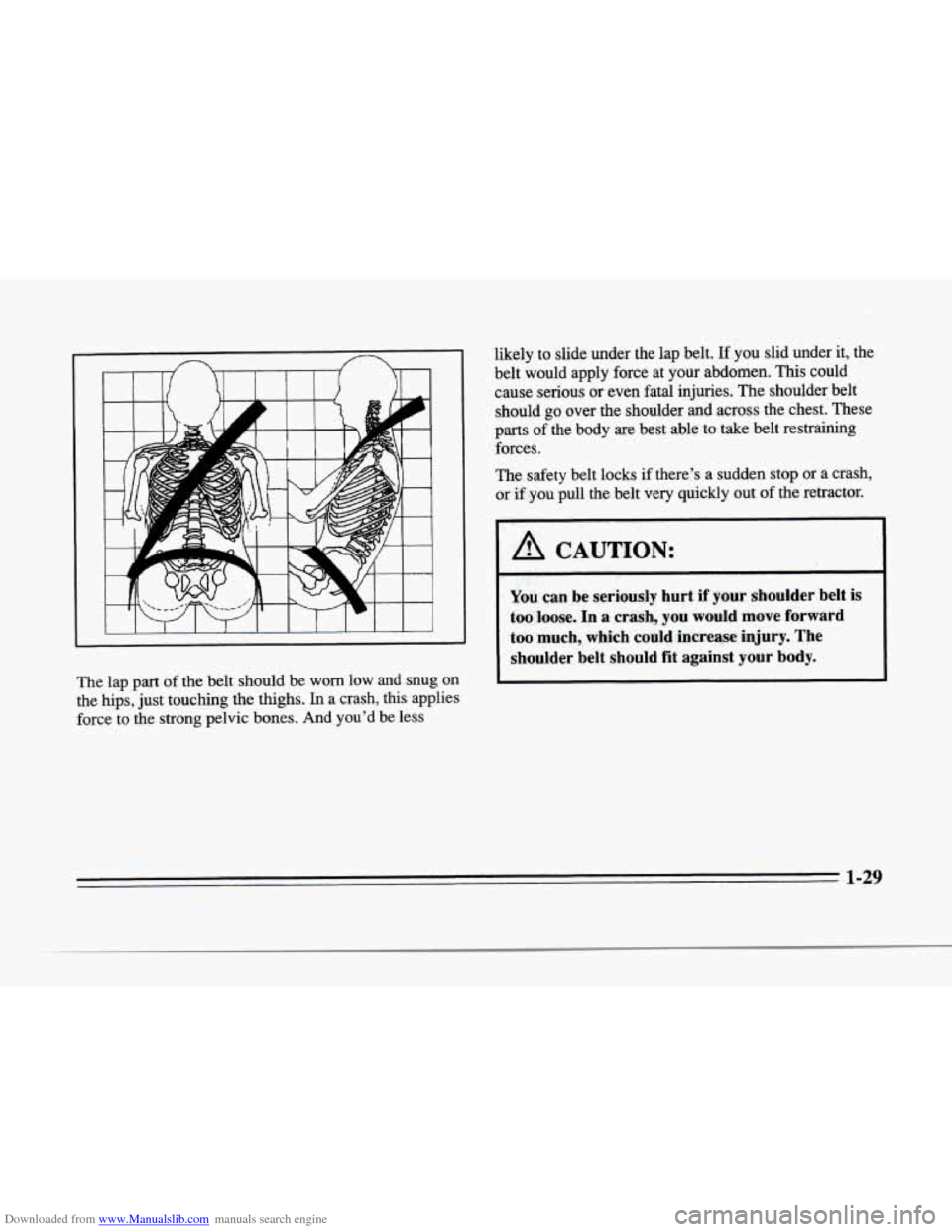 CADILLAC SEVILLE 1996 4.G Owners Manual Downloaded from www.Manualslib.com manuals search engine P 
r 
1 
r 
f 
r 
The lap part of the belt should  be worn low  and  snug on 
the hips,  just  touching  the  thighs. In a crash,  this applies