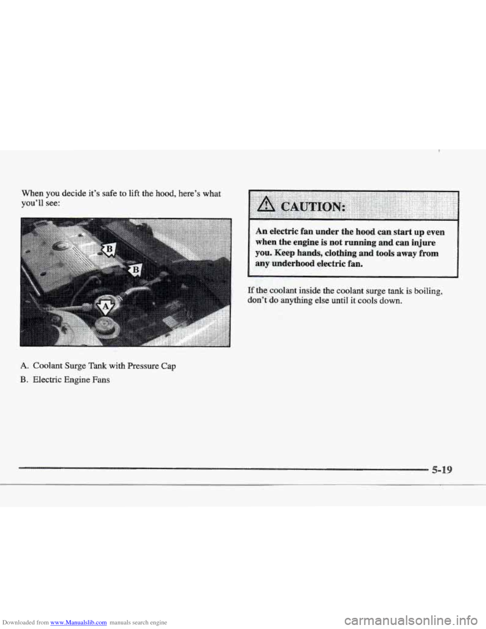 CADILLAC ELDORADO 1997 10.G Owners Manual Downloaded from www.Manualslib.com manuals search engine When you decide  it’s safe to lift the hood, here’s what 
you’ll  see: 
A. Coolant  Surge Tank with Pressire Cap 
B. Electric  Engine  Fa