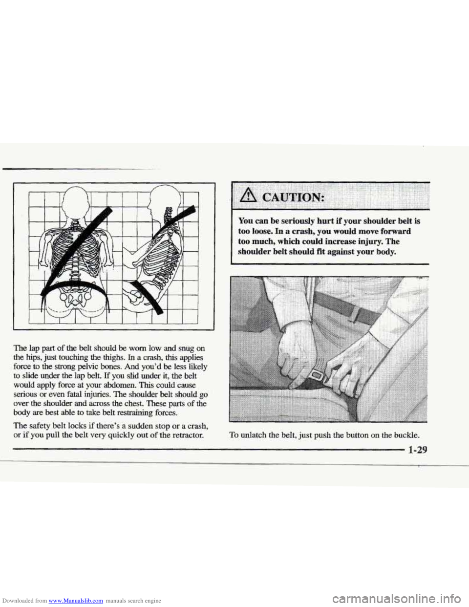 CADILLAC ELDORADO 1997 10.G Owners Manual Downloaded from www.Manualslib.com manuals search engine The  lap part of  the  belt  should be worn low  and  snug on 
the hips, just  touching  the  thighs. In a  crash, this applies 
force 
to the 