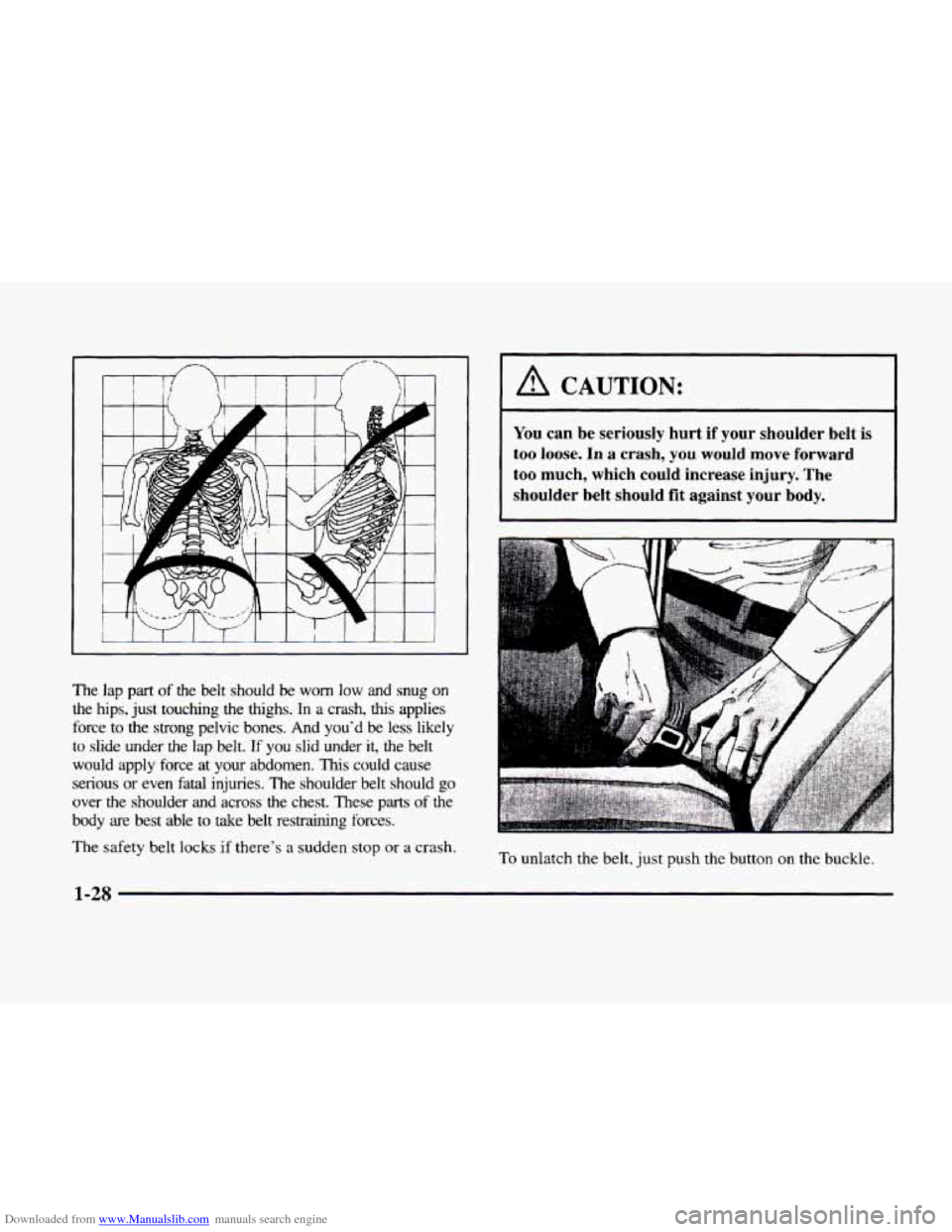 CADILLAC ELDORADO 1998 10.G Owners Manual Downloaded from www.Manualslib.com manuals search engine /-- /- -l 
The lap part of the  belt  should be  worn low and  snug on 
the  hips,  just touching  the  thighs. Ln a crash, this applies 
force