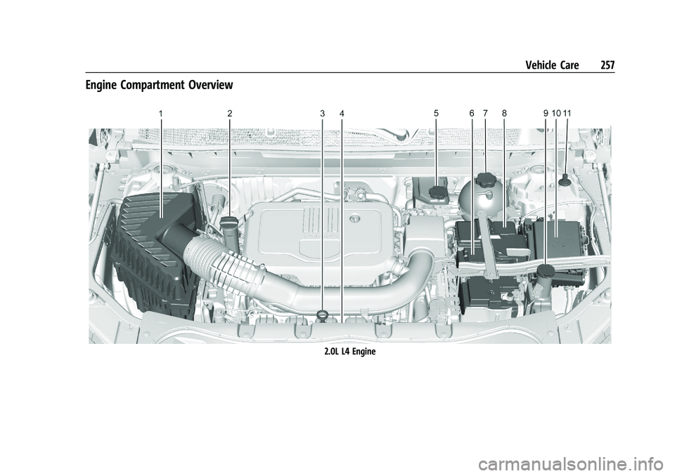 CHEVROLET BLAZER 2021  Owners Manual Chevrolet Blazer Owner Manual (GMNA-Localizing-U.S./Canada/Mexico-
14608203) - 2021 - CRC - 10/29/20
Vehicle Care 257
Engine Compartment Overview
2.0L L4 Engine 