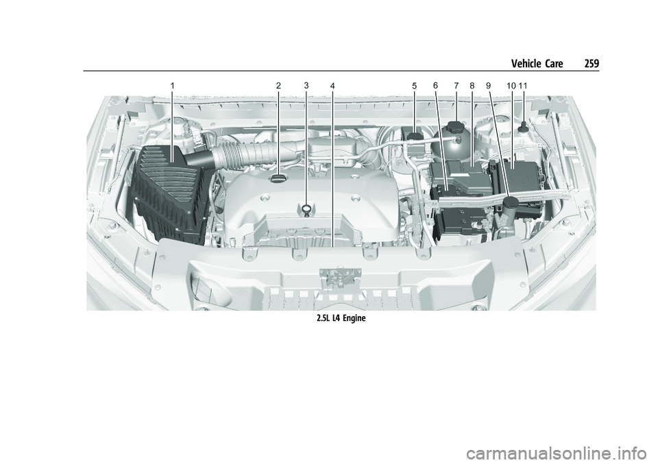 CHEVROLET BLAZER 2021  Owners Manual Chevrolet Blazer Owner Manual (GMNA-Localizing-U.S./Canada/Mexico-
14608203) - 2021 - CRC - 10/29/20
Vehicle Care 259
2.5L L4 Engine 