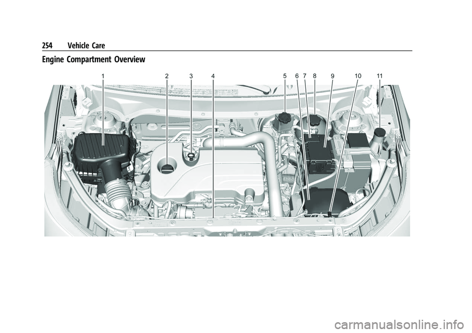 CHEVROLET EQUINOX 2021  Owners Manual Chevrolet Equinox Owner Manual (GMNA-Localizing-U.S./Canada/Mexico-
14420010) - 2021 - CRC - 11/10/20
254 Vehicle Care
Engine Compartment Overview 