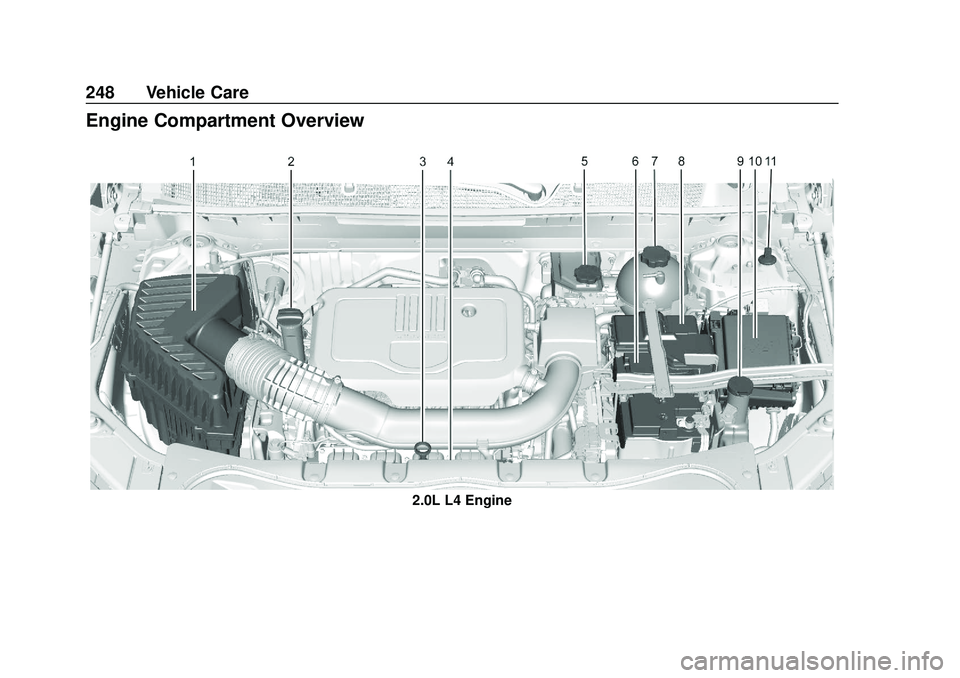 CHEVROLET BLAZER 2020  Owners Manual Chevrolet Blazer Owner Manual (GMNA-Localizing-U.S./Canada/Mexico-
13557845) - 2020 - CRC - 3/24/20
248 Vehicle Care
Engine Compartment Overview
2.0L L4 Engine 