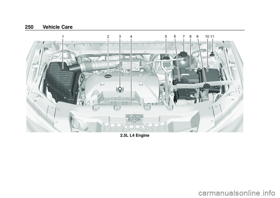 CHEVROLET BLAZER 2020  Owners Manual Chevrolet Blazer Owner Manual (GMNA-Localizing-U.S./Canada/Mexico-
13557845) - 2020 - CRC - 3/24/20
250 Vehicle Care
2.5L L4 Engine 