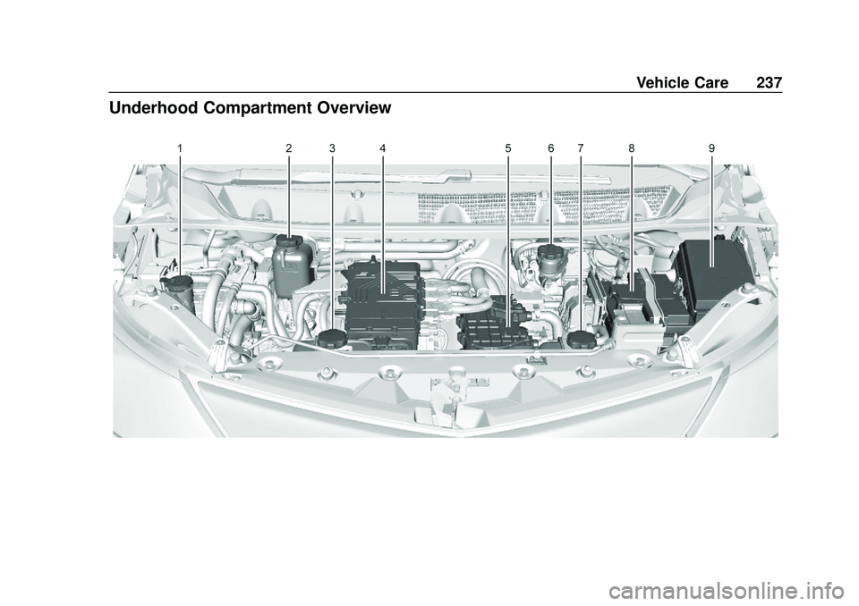 CHEVROLET BOLT EV 2020  Owners Manual Chevrolet BOLT EV Owner Manual (GMNA-Localizing-U.S./Canada/Mexico-
13556250) - 2020 - CRC - 2/11/20
Vehicle Care 237
Underhood Compartment Overview 