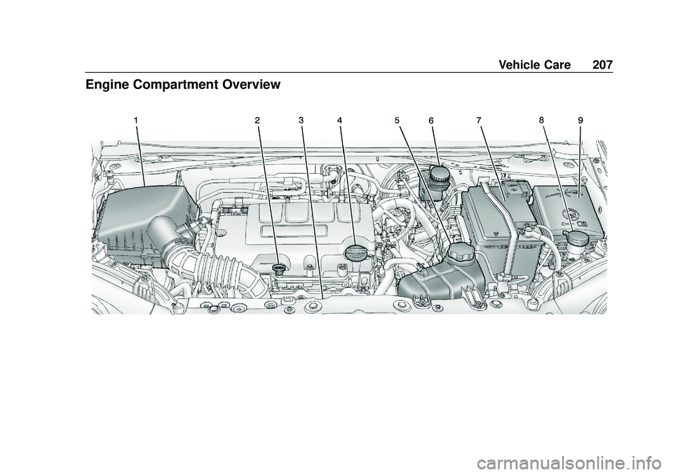 CHEVROLET SONIC 2020  Owners Manual Chevrolet Sonic Owner Manual (GMNA-Localizing-U.S./Canada-13566834) -
2020 - CRC - 10/4/19
Vehicle Care 207
Engine Compartment Overview 
