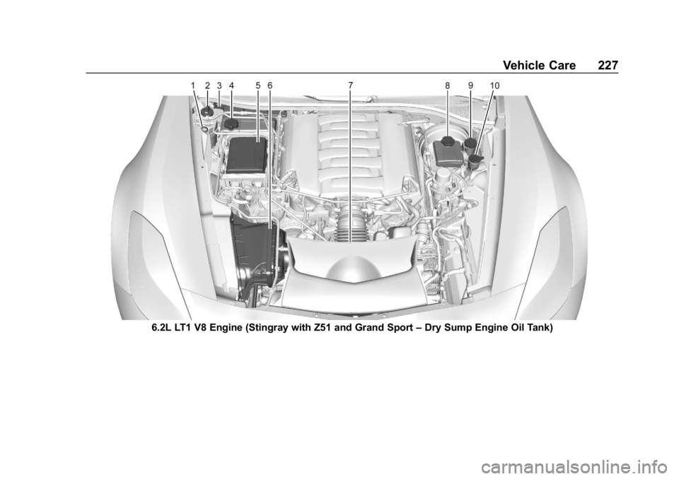 CHEVROLET CORVETTE 2019  Owners Manual Chevrolet Corvette Owner Manual (GMNA-Localizing-U.S./Canada/Mexico-
12032182) - 2019 - crc - 5/8/18
Vehicle Care 227
6.2L LT1 V8 Engine (Stingray with Z51 and Grand Sport–Dry Sump Engine Oil Tank) 