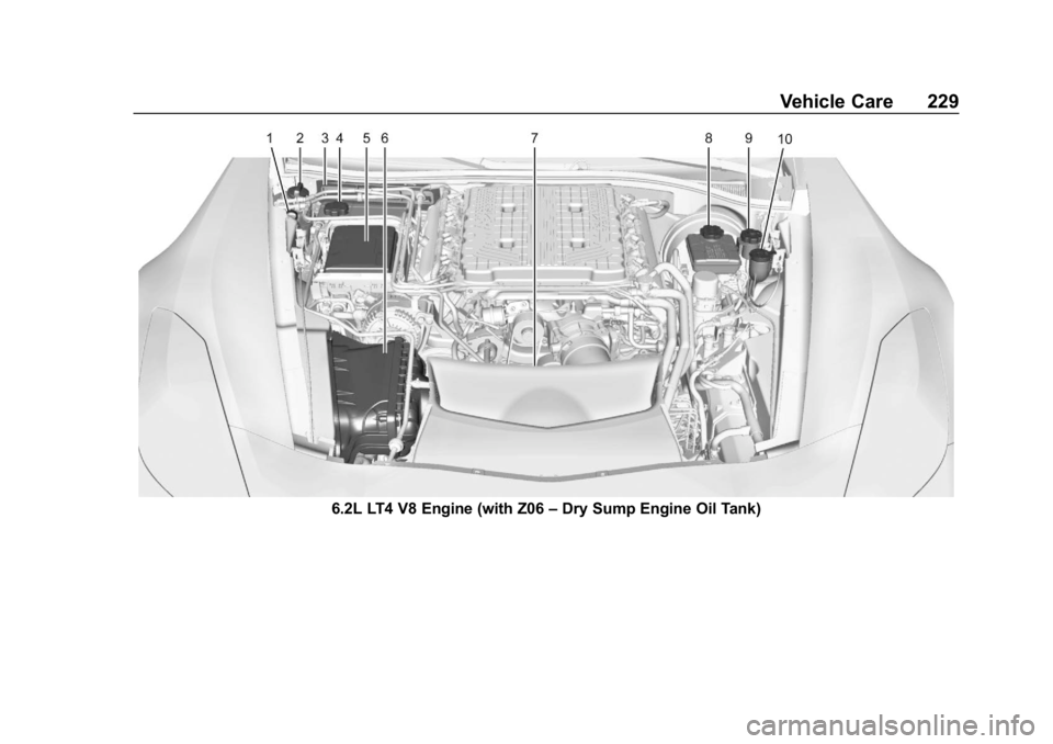 CHEVROLET CORVETTE 2019  Owners Manual Chevrolet Corvette Owner Manual (GMNA-Localizing-U.S./Canada/Mexico-
12032182) - 2019 - crc - 5/8/18
Vehicle Care 229
6.2L LT4 V8 Engine (with Z06–Dry Sump Engine Oil Tank) 