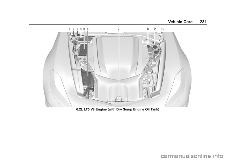 CHEVROLET CORVETTE 2019  Owners Manual Chevrolet Corvette Owner Manual (GMNA-Localizing-U.S./Canada/Mexico-
12032182) - 2019 - crc - 5/8/18
Vehicle Care 231
6.2L LT5 V8 Engine (with Dry Sump Engine Oil Tank) 