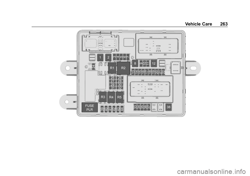 CHEVROLET CORVETTE 2019  Owners Manual Chevrolet Corvette Owner Manual (GMNA-Localizing-U.S./Canada/Mexico-
12032182) - 2019 - crc - 5/8/18
Vehicle Care 263 