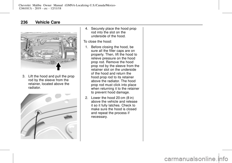 CHEVROLET MALIBU 2019  Owners Manual Chevrolet Malibu Owner Manual (GMNA-Localizing-U.S./Canada/Mexico-
12461813) - 2019 - crc - 12/11/18
236 Vehicle Care
3. Lift the hood and pull the prop
rod by the sleeve from the
retainer, located ab