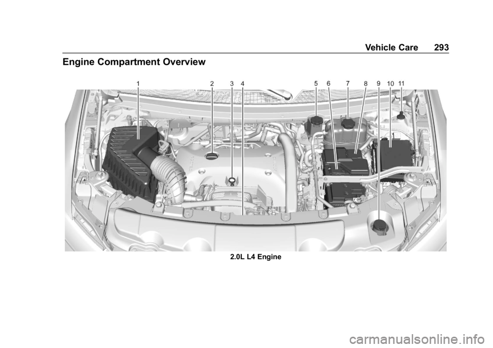 CHEVROLET TRAVERSE 2019  Owners Manual Chevrolet Traverse Owner Manual (GMNA-Localizing-U.S./Canada/Mexico-
12146157) - 2019 - CRC - 11/1/18
Vehicle Care 293
Engine Compartment Overview
2.0L L4 Engine 