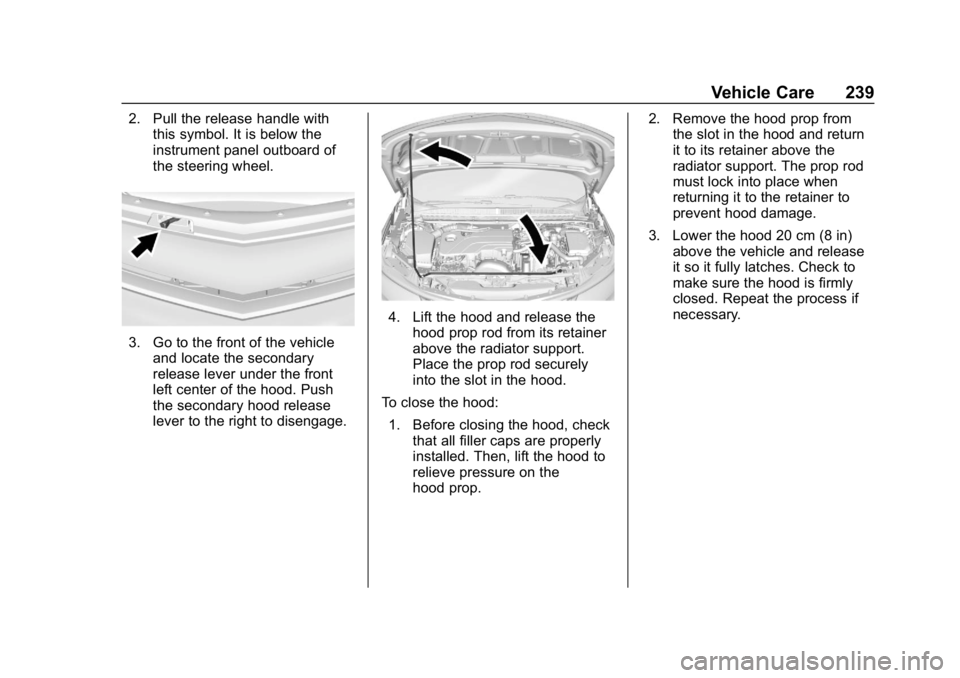CHEVROLET VOLT 2019  Owners Manual Chevrolet VOLT Owner Manual (GMNA-Localizing-U.S./Canada/Mexico-
12163007) - 2019 - CRC - 11/5/18
Vehicle Care 239
2. Pull the release handle withthis symbol. It is below the
instrument panel outboard