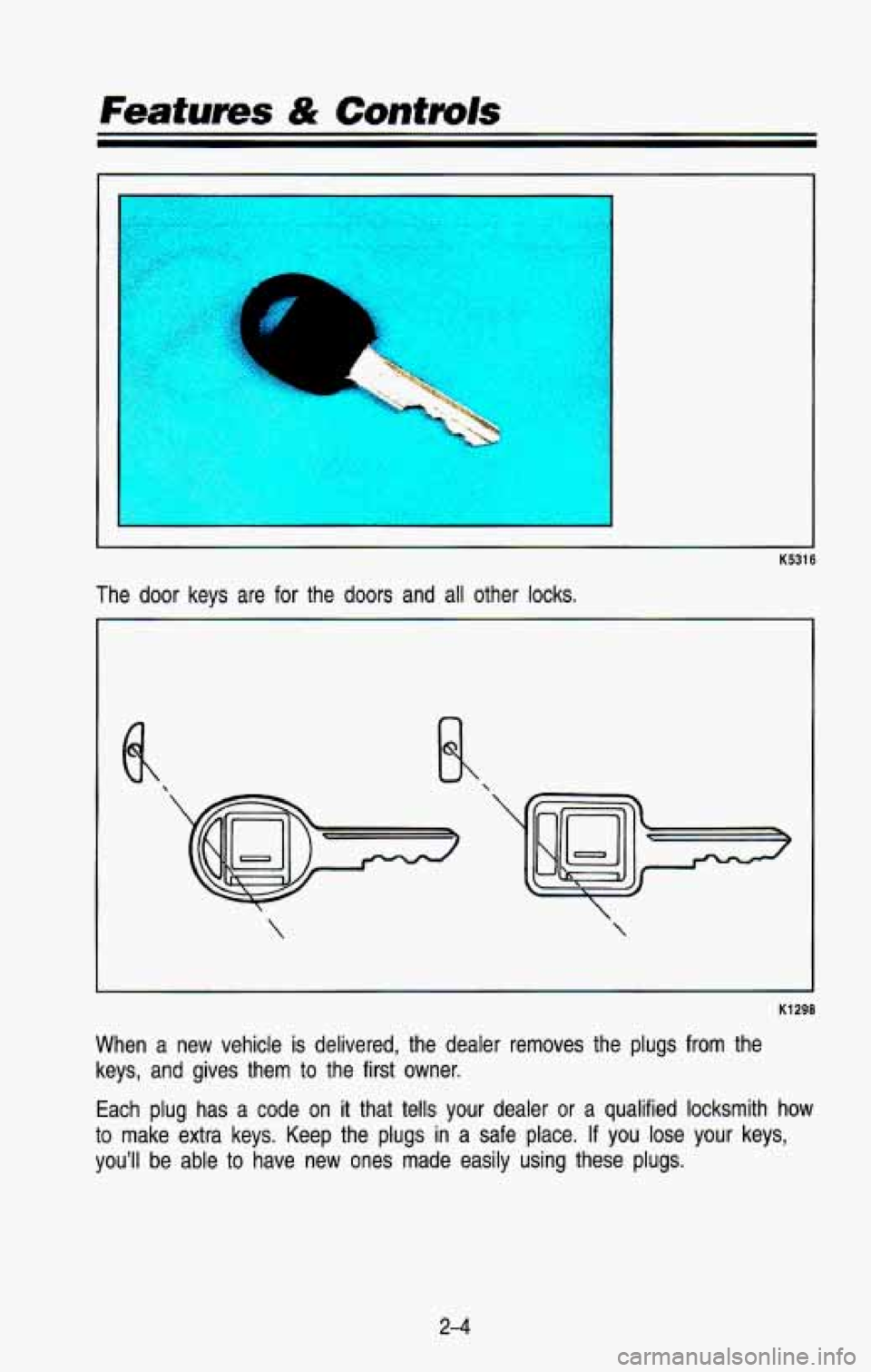 CHEVROLET BLAZER 1993  Owners Manual a 
K5316 
The door keys  are  for  the  doors  and  all  other  locks. 
 
  
K1298 
When  a  new  vehicle is delivered,  the  dealer  removes  the  plugs  from  the 
keys,  and  gives  them  to  the  