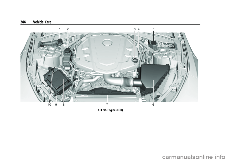 CHEVROLET CAMARO 2022  Owners Manual Chevrolet Camaro Owner Manual (GMNA-Localizing-U.S./Canada/Mexico-
14583589) - 2021 - CRC - 3/24/20
244 Vehicle Care
3.6L V6 Engine (LGX) 