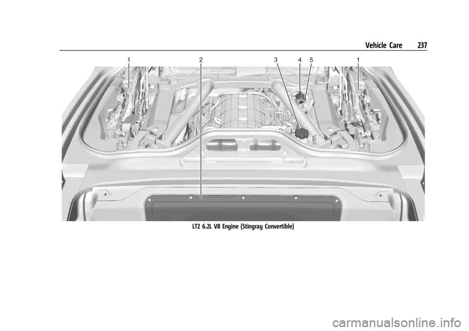 CHEVROLET CORVETTE 2023  Owners Manual Chevrolet Corvette Owner Manual (GMNA-Localizing-U.S./Canada/Mexico-
16287457) - 2023 - CRC - 3/10/22
Vehicle Care 237
LT2 6.2L V8 Engine (Stingray Convertible) 