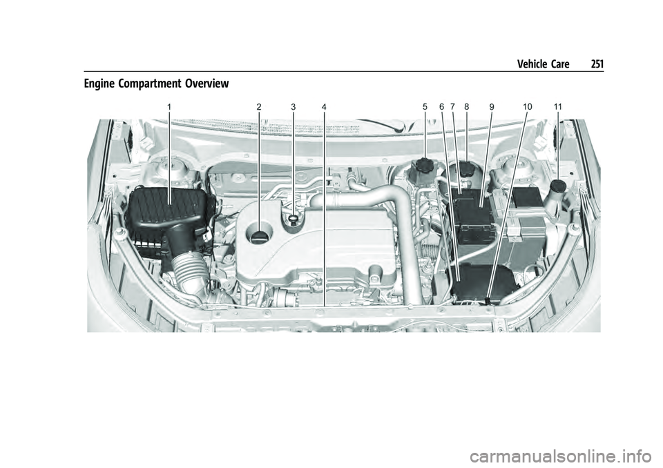 CHEVROLET EQUINOX 2023  Owners Manual Chevrolet Equinox Owner Manual (GMNA-Localizing-U.S./Canada-
16540728) - 2023 - crc - 6/16/22
Vehicle Care 251
Engine Compartment Overview 